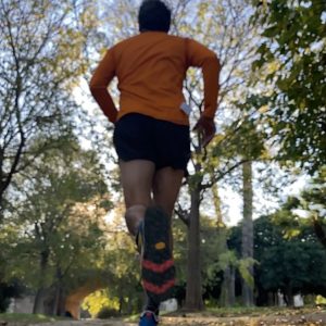 Plantillas deportivas